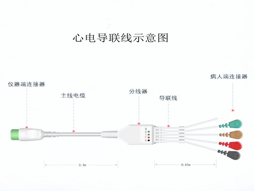 91麻豆视频免费观看心电导联线